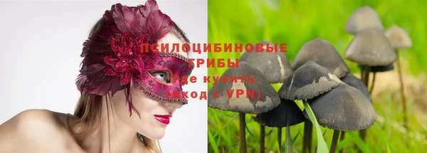 гидра Лихославль