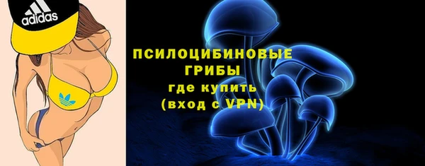 дмт Липки