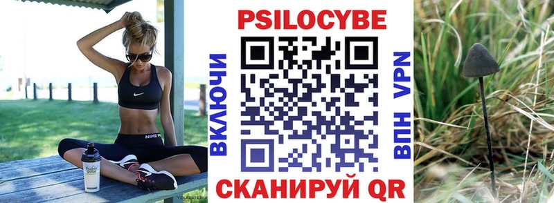 Псилоцибиновые грибы мицелий  купить закладку  Зарайск 